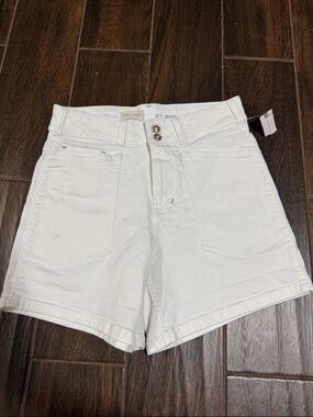The Wanderer Shorts by Pilcro Anthropologie